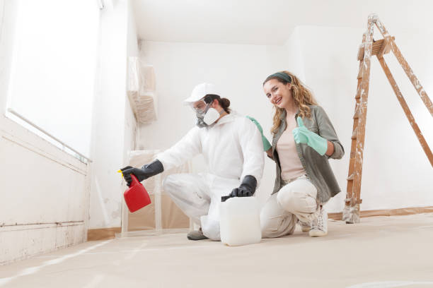 Best Mold Prevention Services  in Kingsley, MI